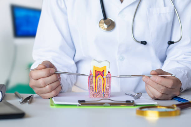 Best Emergency Treatment for Toothache in High Rolls, NM